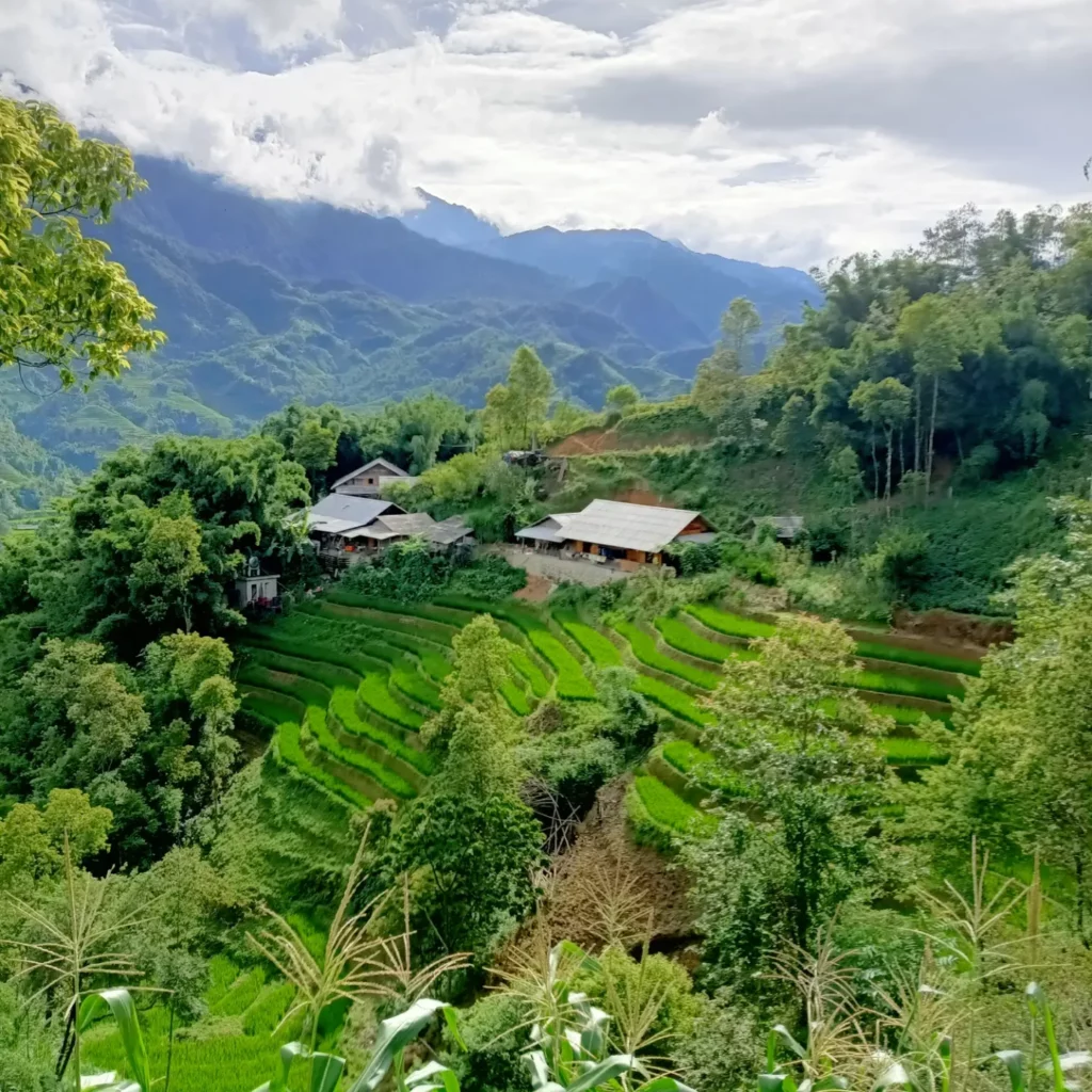 Circuit au Vietnam : les rizières de Sapa