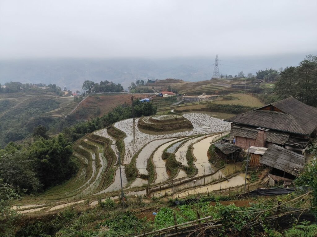 Voyage au Vietnam : les rizières de Sapa