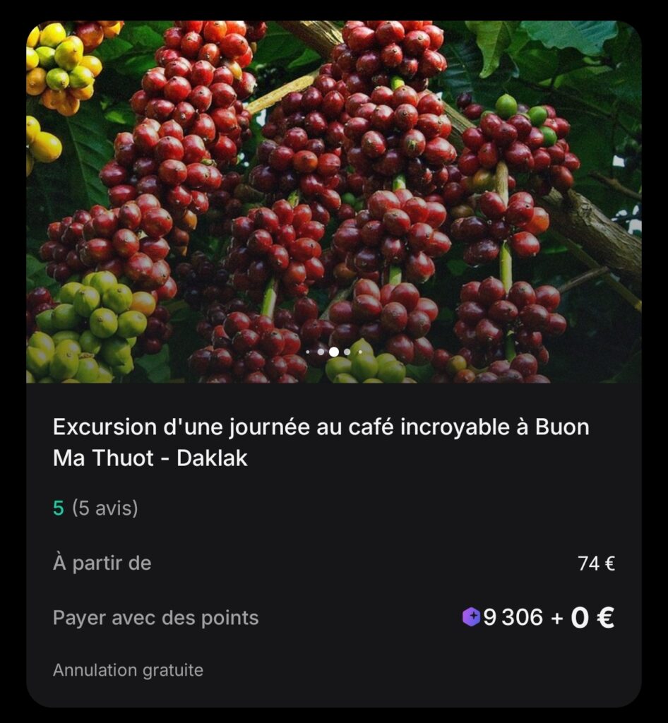 Experience - Payer ses activités en RevPoints Revolut à Buon Ma Thuot