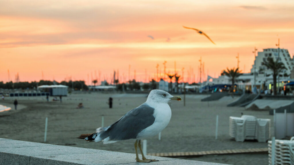 Séjourner en camping à la Grande-Motte : trouver le meilleur emplacement près de la plage