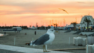 Séjourner en camping à la Grande-Motte : trouver le meilleur emplacement près de la plage